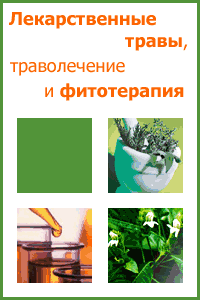 Для сайта Лекарственные травы Для сайта Лекарственные травы
