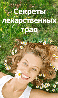 Для сайта Лекарственные травы Для сайта Лекарственные травы