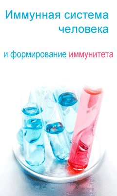 Для сайта Иммунная система человека Для сайта Иммунная система человека