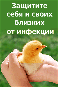 Для сайта Инфекционные заболевания Для сайта Инфекционные заболевания